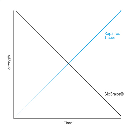 BioBrace Resorb-Diagramm