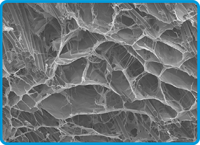 imagen de la estructura porosa del biobrace